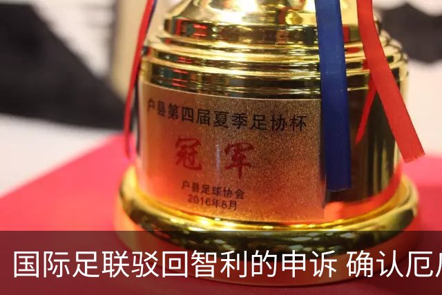 国际足联驳回智利的申诉 确认厄瓜多尔参加世界杯